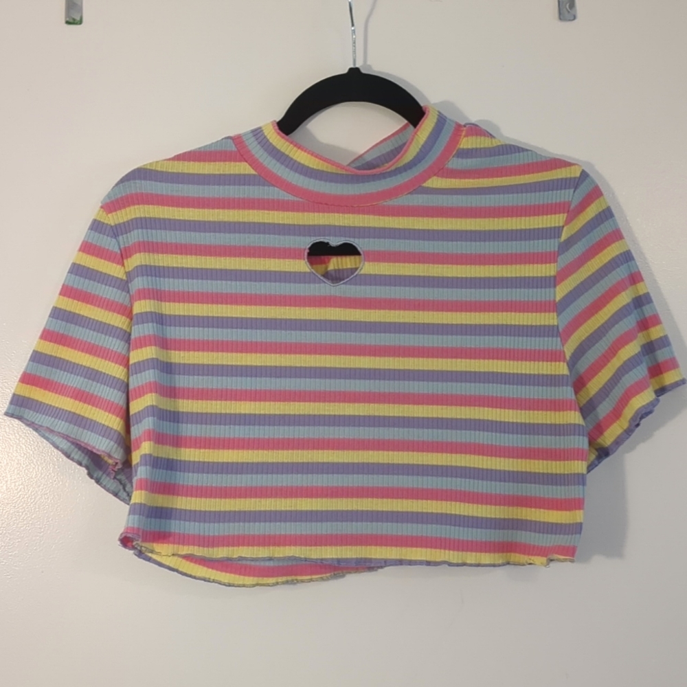 Rainbow Stripe Heart Embroidered Crop Tee